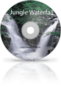 Jungle-Waterfall